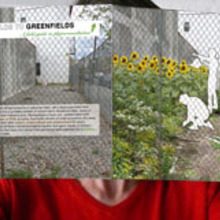 Holding brochure.large